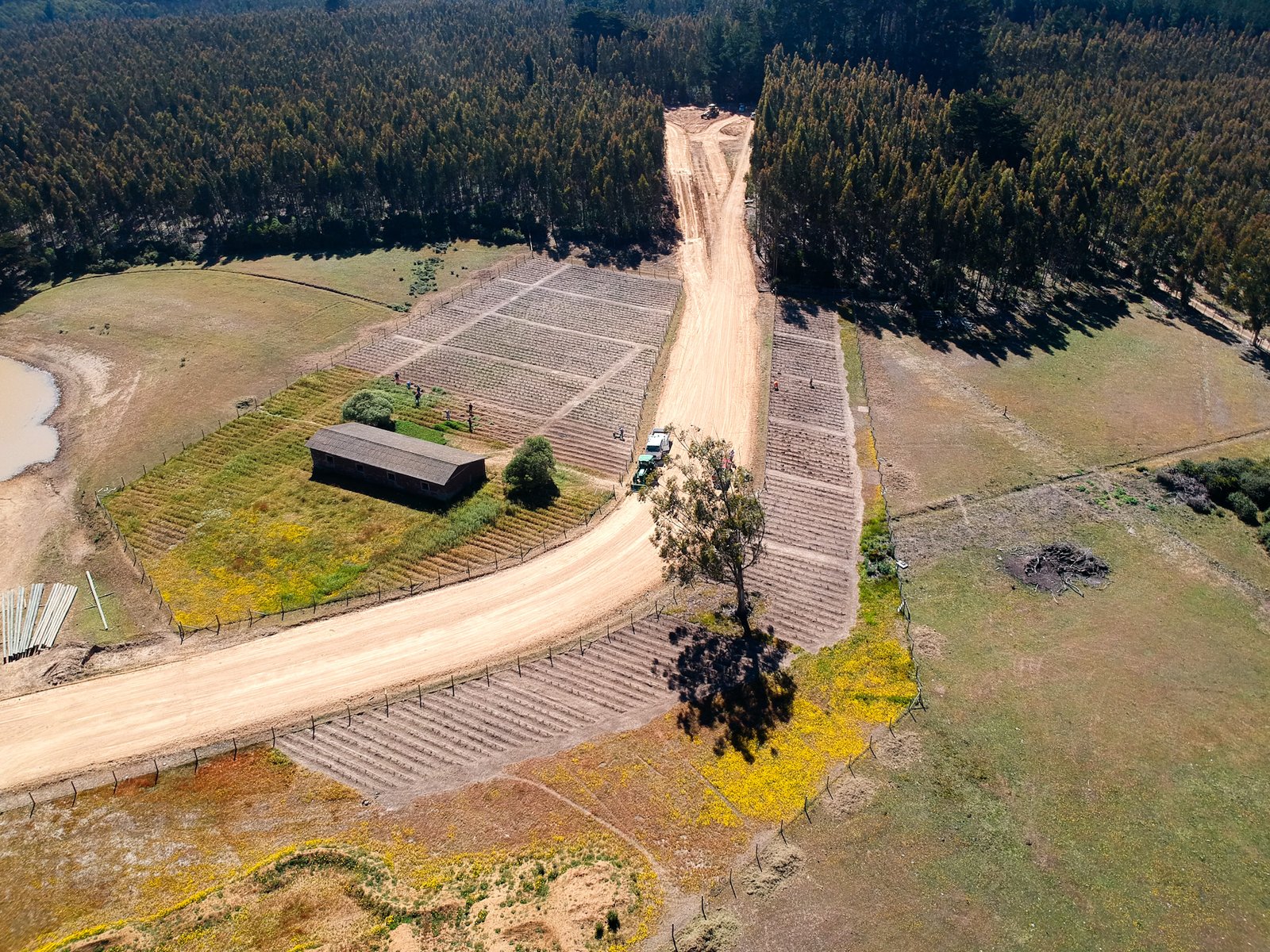 Senderos y Naturaleza