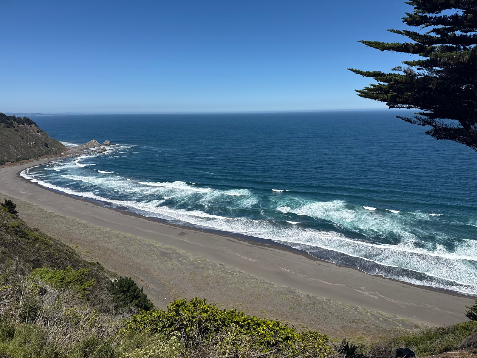 Praderas y Bosque Nativo
